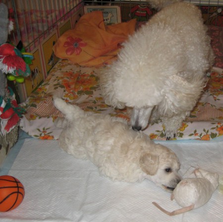 ...a trochu mně požduchala.